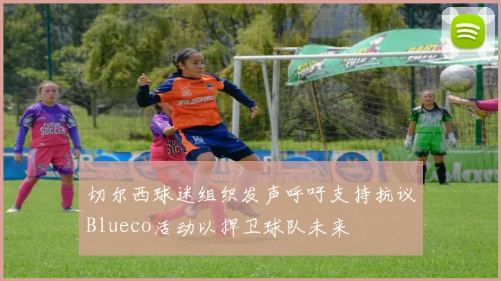 切尔西球迷组织发声呼吁支持抗议Blueco活动以捍卫球队未来