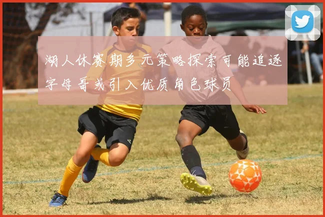 湖人休赛期多元策略探索可能追逐字母哥或引入优质角色球员