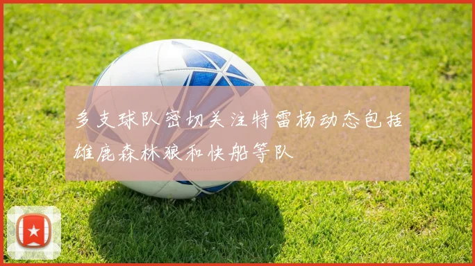 多支球队密切关注特雷杨动态包括雄鹿森林狼和快船等队
